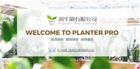 迷你椰子 種植|迷你椰子 – PLANTER PRO LIMITED利生園有限公司